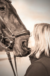 young woman is kissing horse young woman is kissing horse